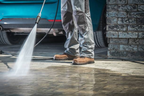 Best Soft Washing  in Ensley, FL