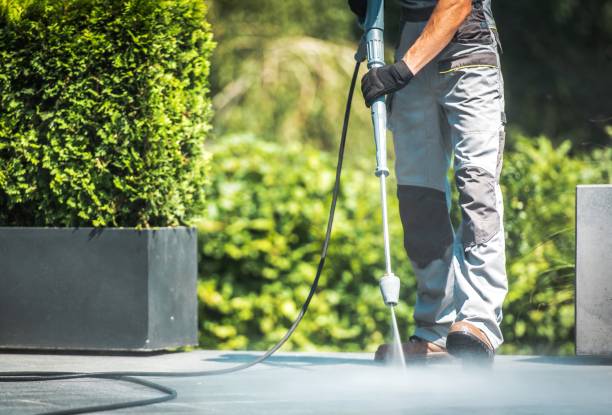 Spring Cleaning in Ensley, FL