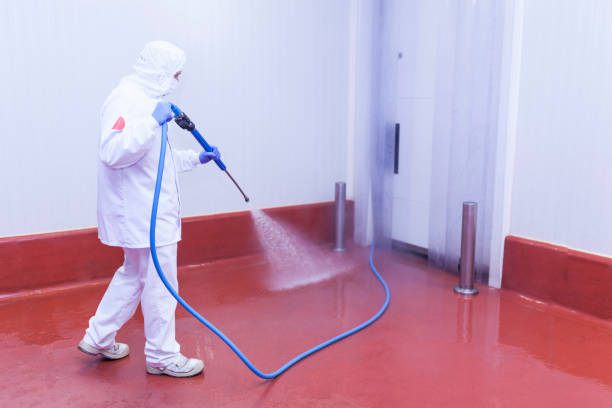 Best Pre-Holiday Cleaning  in Ensley, FL